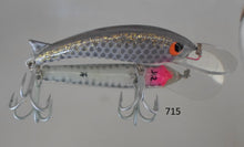 Load image into Gallery viewer, 70mm Lures