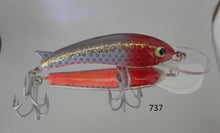 Load image into Gallery viewer, 70mm Lures