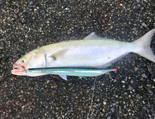 Load image into Gallery viewer, 220mm Garfish.