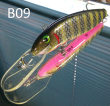 Load image into Gallery viewer, *NEW* 100mm Barra
